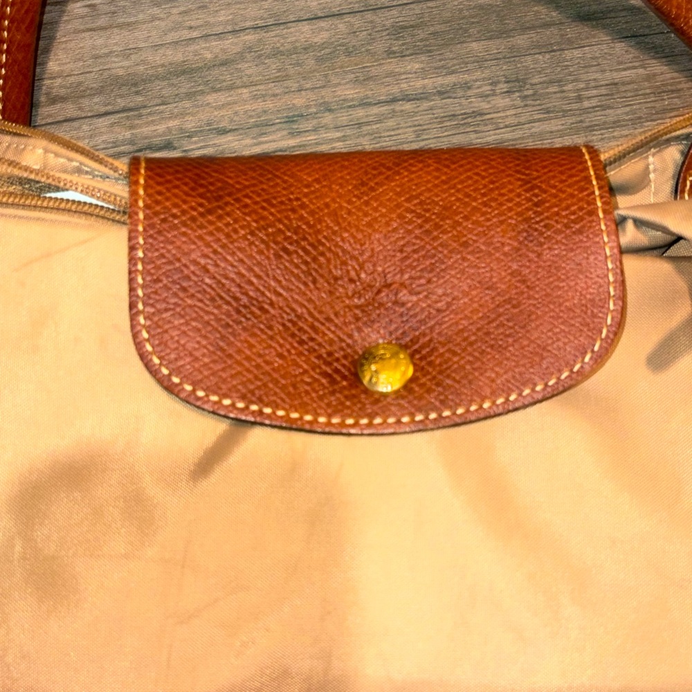 Longchamp should bag